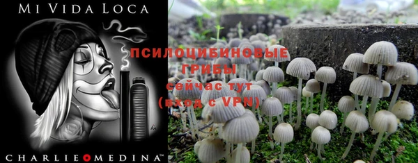 марки nbome Алексеевка