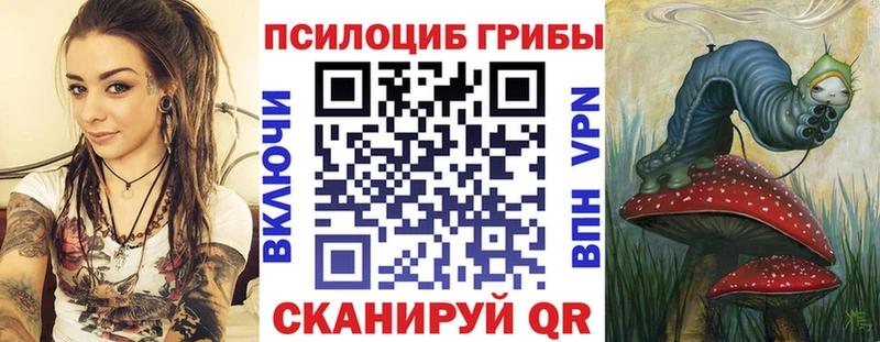 Псилоцибиновые грибы прущие грибы  Зерноград 
